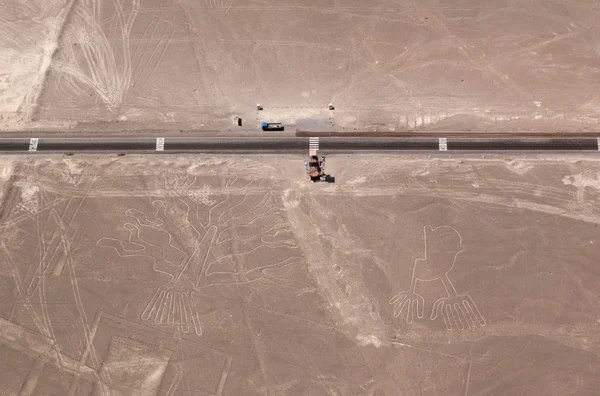 Arbres et Mains Lignes Nazca — Photo