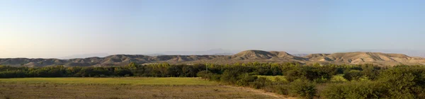 Valle verde colinas del desierto — Foto de Stock