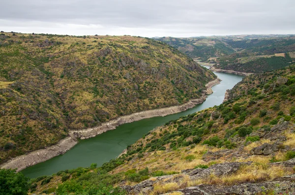 De rivier Douro Rechtenvrije Stockafbeeldingen