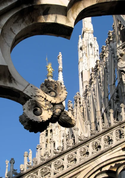 Katedra Duomo di milano Zdjęcia Stockowe bez tantiem