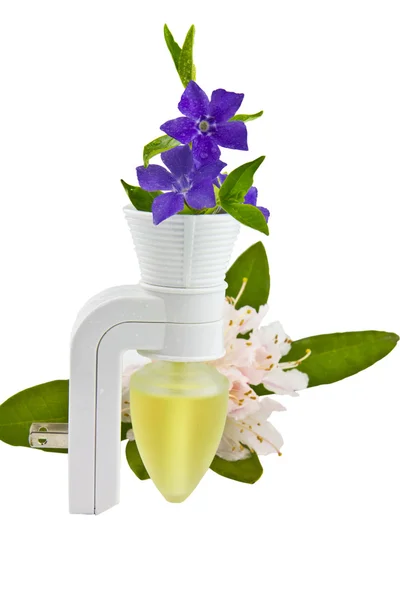 Spring Time Air Freshener — Stock Photo, Image
