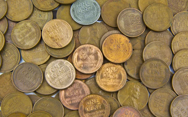 밀 동전 — 스톡 사진
