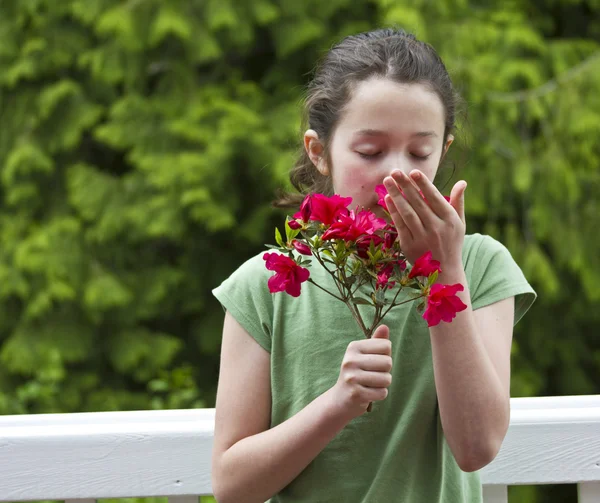 De geur van mooie bloemen — Stockfoto