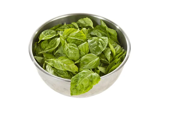 Fresh basil in stainless steel bowl — Stock Photo, Image