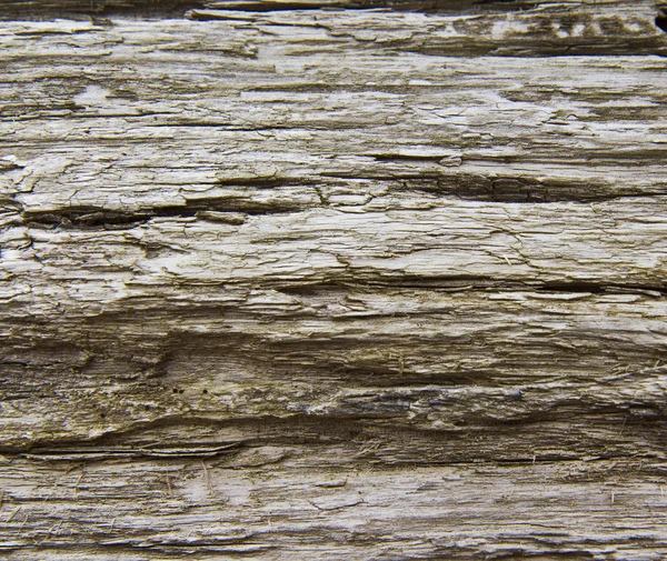 Aged Wood — Stock Photo, Image