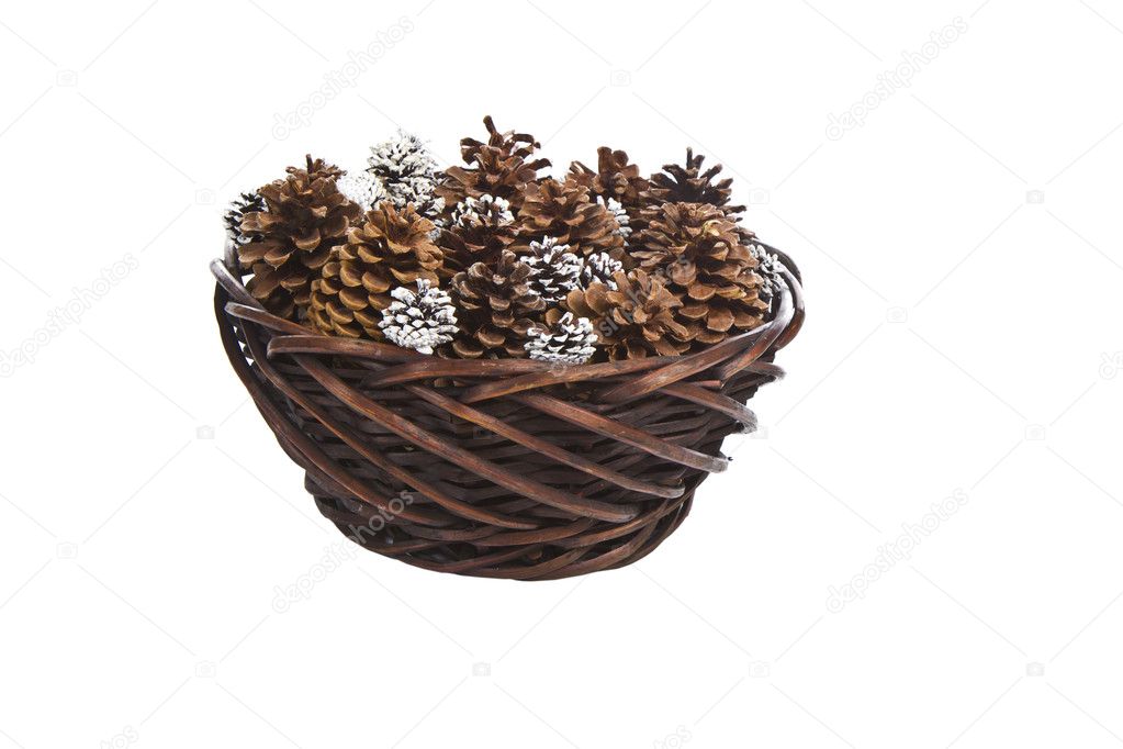 Basket of Pine Cones
