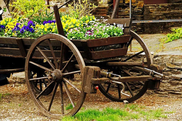 stock image Flower cart