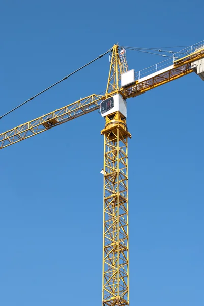 stock image Yellow Crane