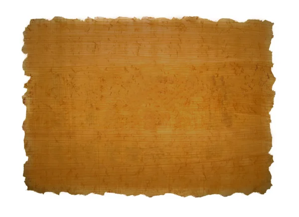 Stuk van papyrus textuur — Stockfoto