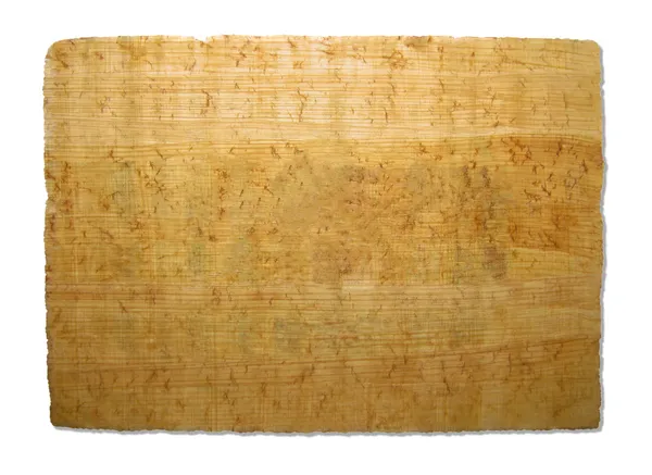 Pedaço de textura de papiro — Fotografia de Stock