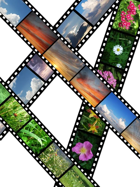 Filmy s obrazy přírody — Stock fotografie