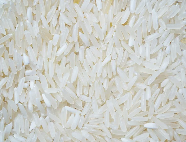 stock image Close-up of a rice background