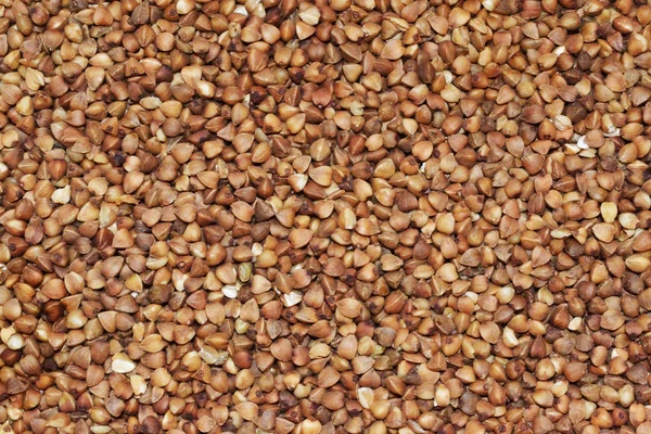 stock image Close-up of a buckwheat background