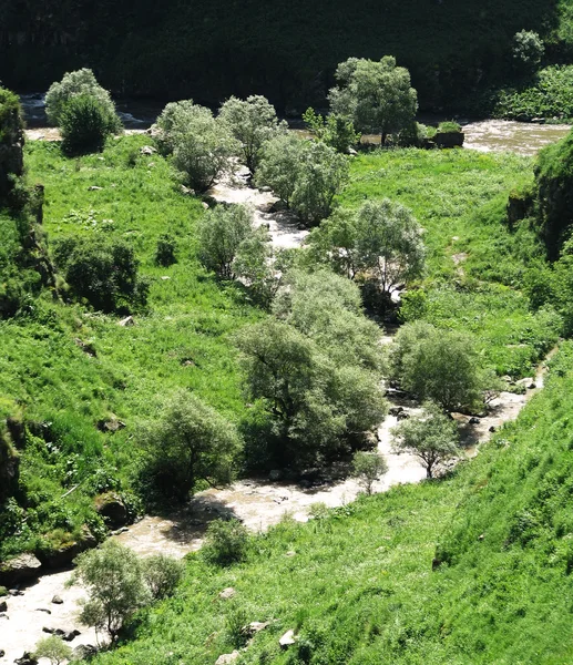 stock image River with trees