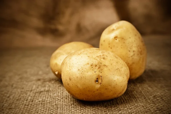 ehlileştirmek zemin üzerine taze patates