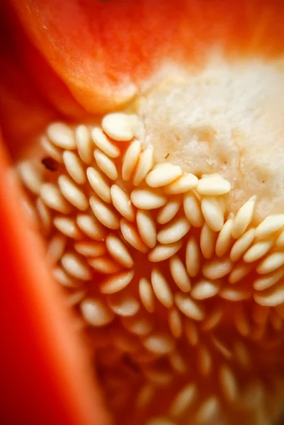 Seeds of pepper — Stock Photo, Image