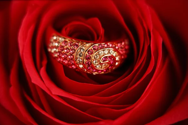 Кольцо с бриллиантами в розе — стоковое фото