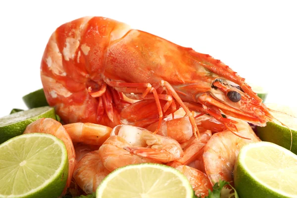 stock image Shrimp background