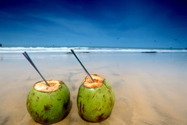 Kokosnusscocktail — Stockfoto