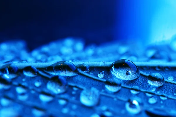 Vatten droppe makro — Stockfoto