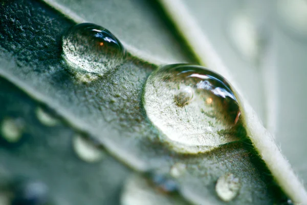 Gota de água macro — Fotografia de Stock