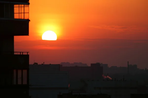Altın güneş — Stok fotoğraf