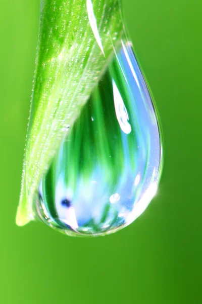 Gota de agua grande — Foto de Stock