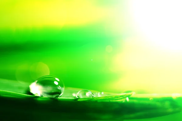 Shine water drop — Stock Photo, Image