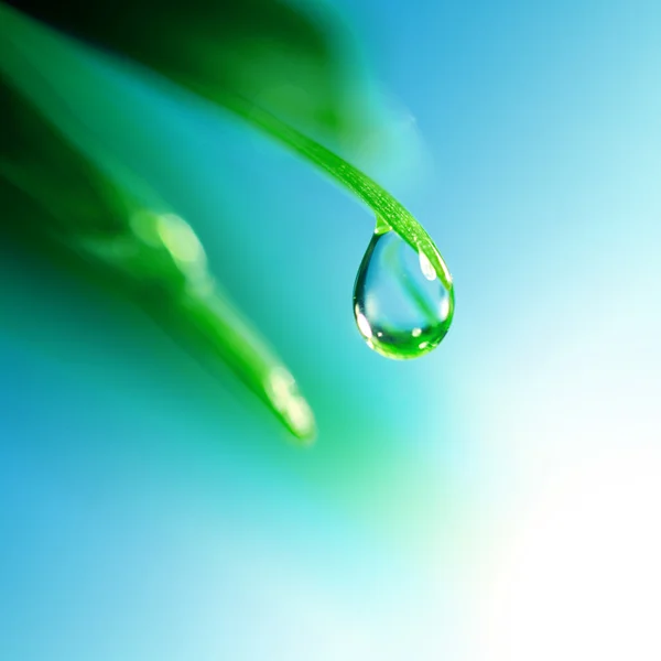 Shine water drop — Stock Photo, Image