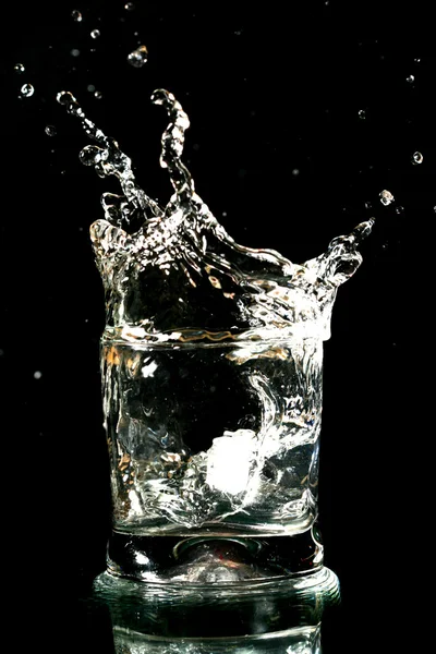 Alkohol splash — Stock fotografie