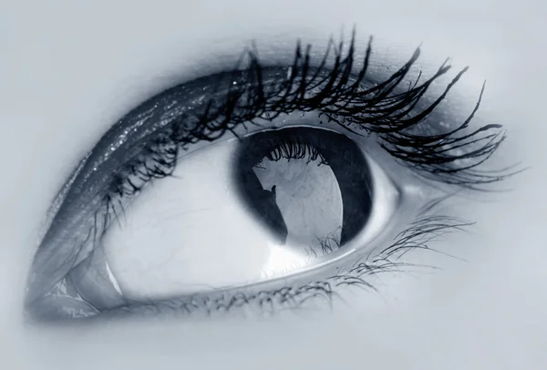 Hermoso ojo — Foto de Stock