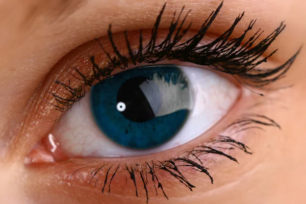 아름다운 푸른 눈 — 스톡 사진