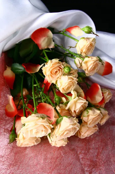 Holyday roses — Stock Photo, Image