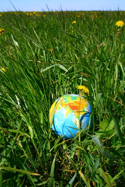 Världen i gräs — Stockfoto