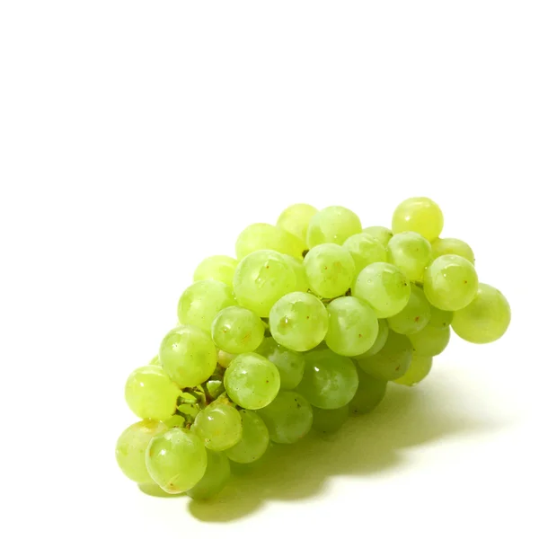 Isolated grape — Stock Photo, Image