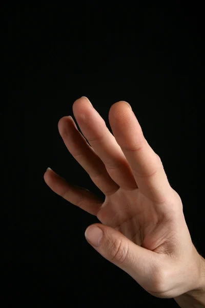 Palm жести — стокове фото