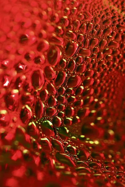 Gotas vermelhas — Fotografia de Stock