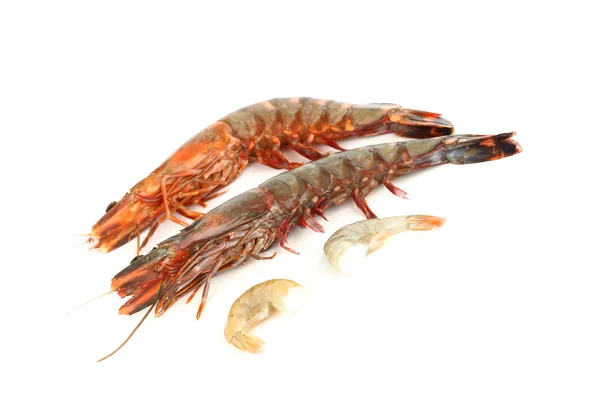 Fresh shrimps — Stock Photo, Image