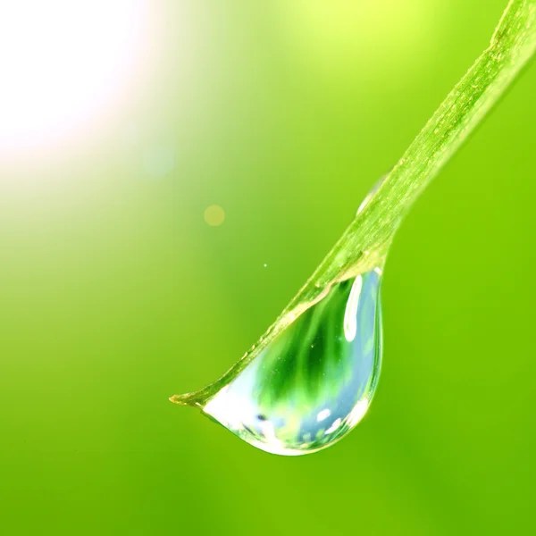 빛나는 물방울 — 스톡 사진