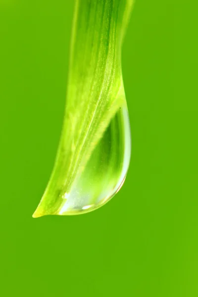 stock image Big water drop