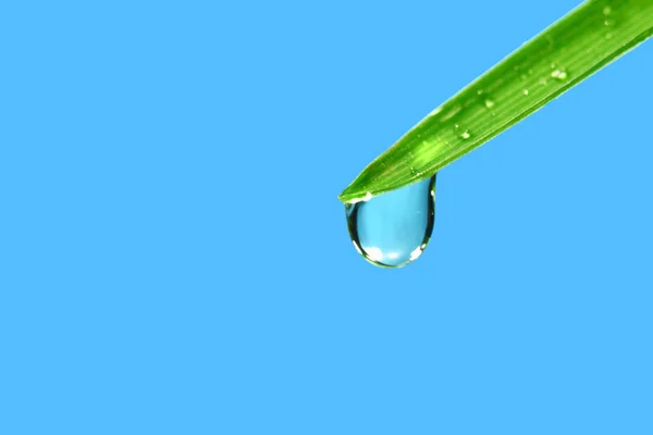 큰 물방울 — 스톡 사진