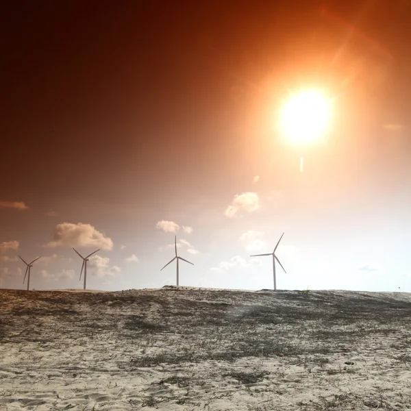 사막 에너지 — 스톡 사진