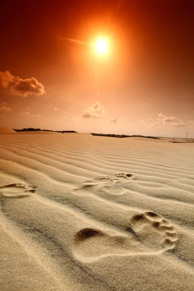 Woestijn voetafdruk — Stockfoto