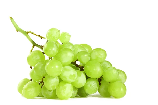 Зелений виноград — стокове фото