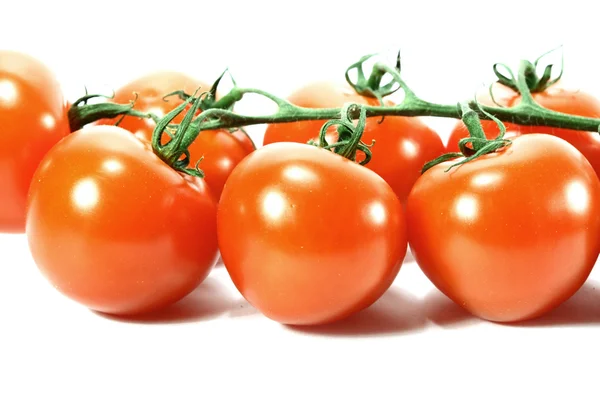 stock image Isolated tomato