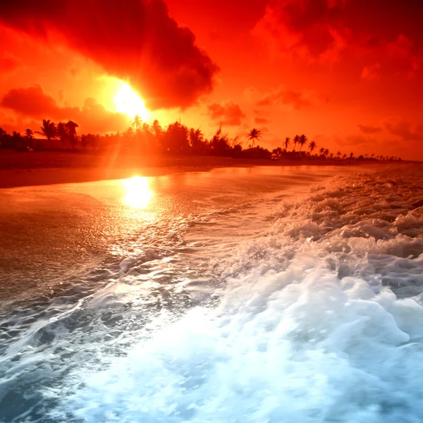 Ocean sunrice — Stock Photo, Image
