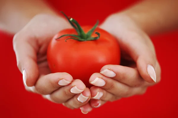 여자 손에 토마토 — 스톡 사진