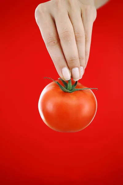 Ντομάτας στα χέρια γυναίκα — Φωτογραφία Αρχείου