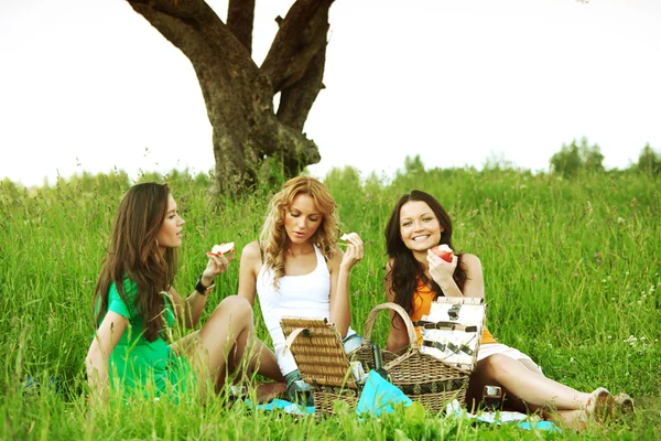 Freundinnen beim Picknick — Stockfoto
