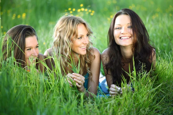 Девушки на траве — стоковое фото